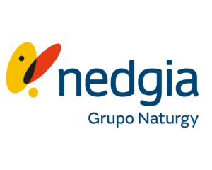 Nedgia Logo